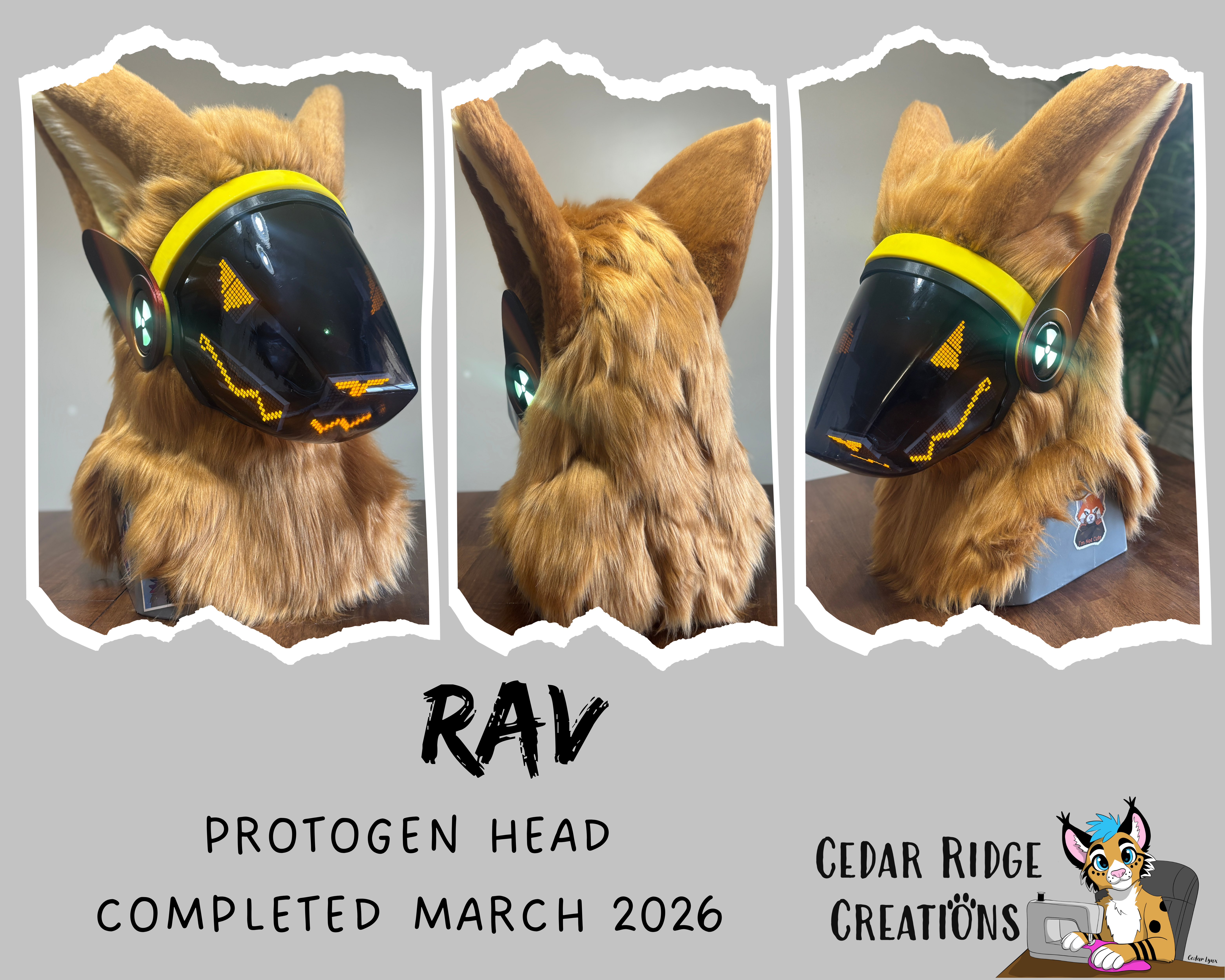 Moose Full Partial Wolf